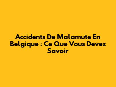 Accidents De Malamute En Belgique : Ce Que Vous Devez Savoir