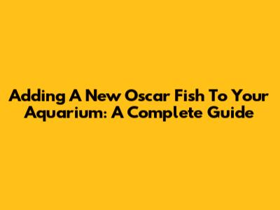 Adding A New Oscar Fish To Your Aquarium: A Complete Guide