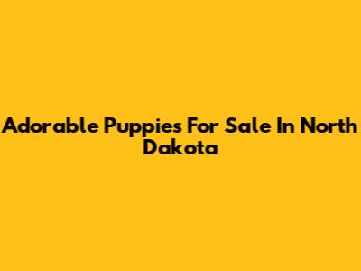 Adorable Puppies For Sale In North Dakota