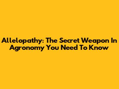 Allelopathy: The Secret Weapon In Agronomy You Need To Know