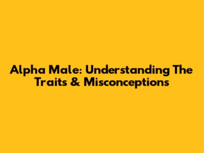 Alpha Male: Understanding The Traits & Misconceptions