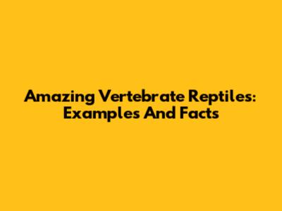 Amazing Vertebrate Reptiles: Examples And Facts