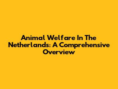 Animal Welfare In The Netherlands: A Comprehensive Overview