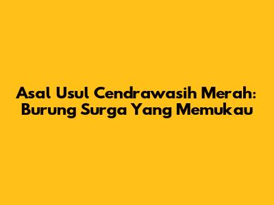 Asal Usul Cendrawasih Merah: Burung Surga Yang Memukau