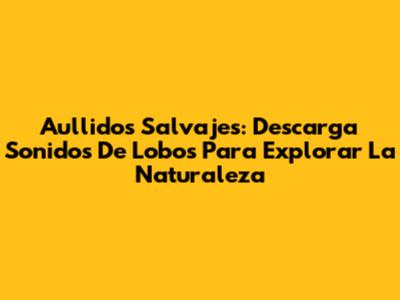 Aullidos Salvajes: Descarga Sonidos De Lobos Para Explorar La Naturaleza