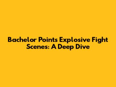 Bachelor Point's Explosive Fight Scenes: A Deep Dive