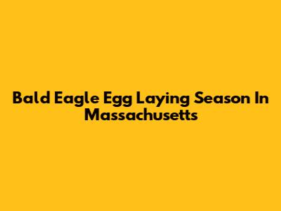 Bald Eagle Egg Laying Season In Massachusetts