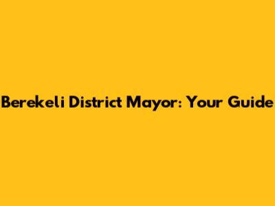 Berekeli District Mayor: Your Guide