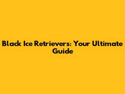 Black Ice Retrievers: Your Ultimate Guide