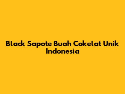 Black Sapote Buah Cokelat Unik Indonesia