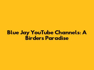 Blue Jay YouTube Channels: A Birder's Paradise