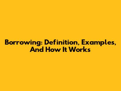 Borrowing: Definition, Examples, And How It Works