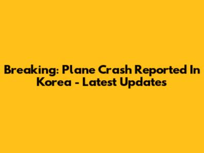 Breaking: Plane Crash Reported In Korea - Latest Updates