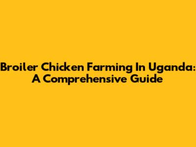 Broiler Chicken Farming In Uganda: A Comprehensive Guide
