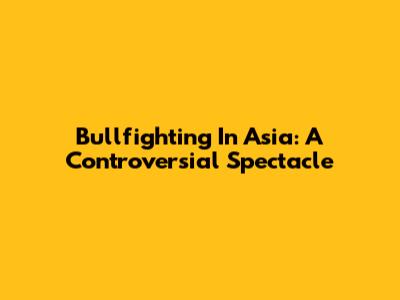 Bullfighting In Asia: A Controversial Spectacle