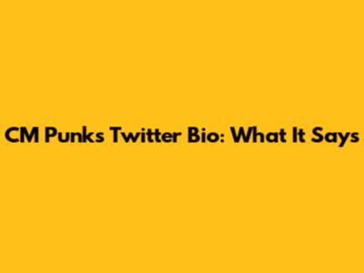 CM Punk's Twitter Bio: What It Says