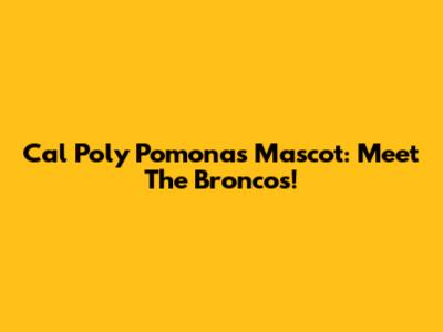 Cal Poly Pomona's Mascot: Meet The Broncos!