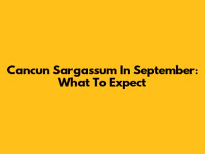 Cancun Sargassum In September: What To Expect
