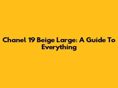 Chanel 19 Beige Large: A Guide To Everything