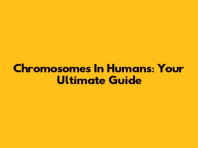 Chromosomes In Humans: Your Ultimate Guide