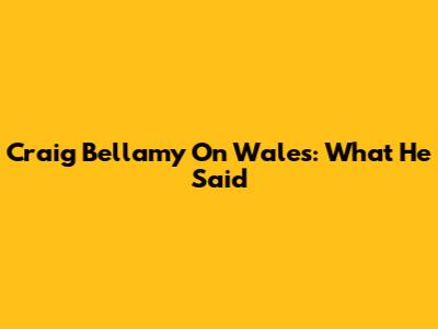 Craig Bellamy On Wales: What He Said