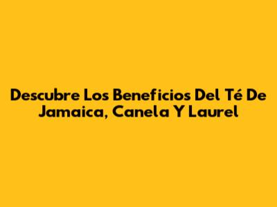 Descubre Los Beneficios Del Té De Jamaica, Canela Y Laurel