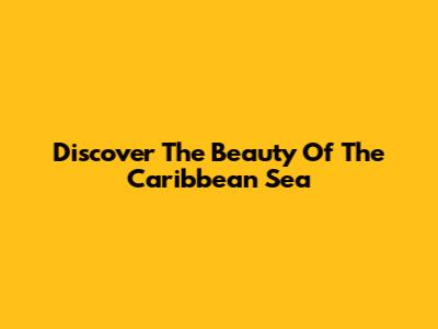 Discover The Beauty Of The Caribbean Sea