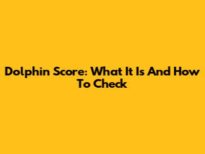 Dolphin Score: What It Is And How To Check
