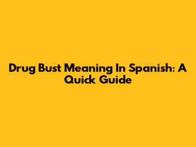 Drug Bust Meaning In Spanish: A Quick Guide