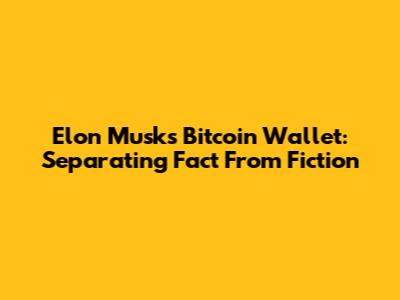 Elon Musk's Bitcoin Wallet: Separating Fact From Fiction