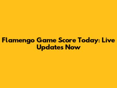 Flamengo Game Score Today: Live Updates Now