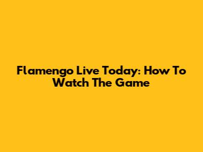Flamengo Live Today: How To Watch The Game
