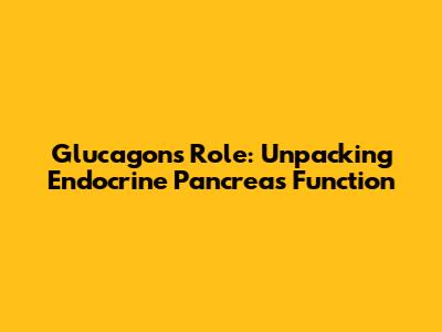 Glucagon's Role: Unpacking Endocrine Pancreas Function