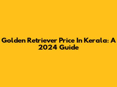 Golden Retriever Price In Kerala: A 2024 Guide