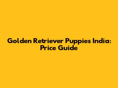 Golden Retriever Puppies India: Price Guide