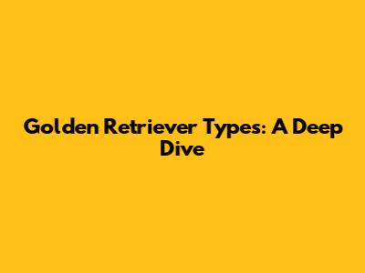 Golden Retriever Types: A Deep Dive