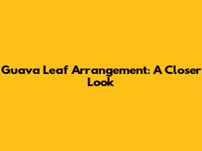 Guava Leaf Arrangement: A Closer Look