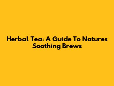 Herbal Tea: A Guide To Nature's Soothing Brews