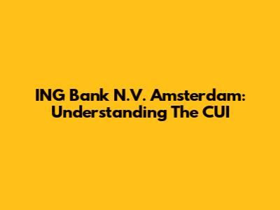 ING Bank N.V. Amsterdam: Understanding The CUI