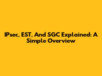 IPsec, EST, And SGC Explained: A Simple Overview