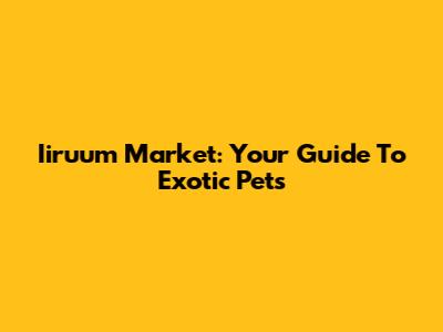 Iiruum Market: Your Guide To Exotic Pets