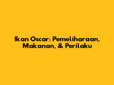Ikan Oscar: Pemeliharaan, Makanan, & Perilaku