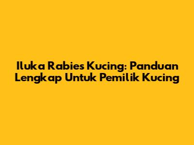 Iluka Rabies Kucing: Panduan Lengkap Untuk Pemilik Kucing