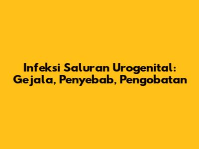 Infeksi Saluran Urogenital: Gejala, Penyebab, Pengobatan