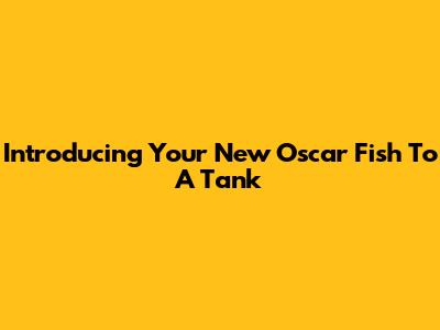 Introducing Your New Oscar Fish To A Tank