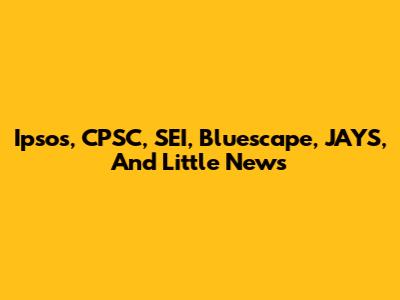 Ipsos, CPSC, SEI, Bluescape, JAYS, And Little News
