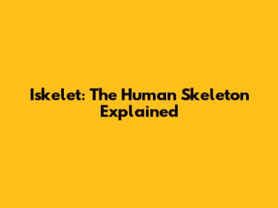 Iskelet: The Human Skeleton Explained