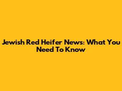 Jewish Red Heifer News: What You Need To Know