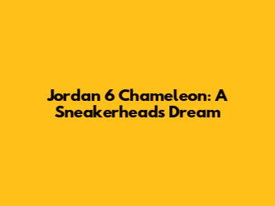 Jordan 6 Chameleon: A Sneakerhead's Dream