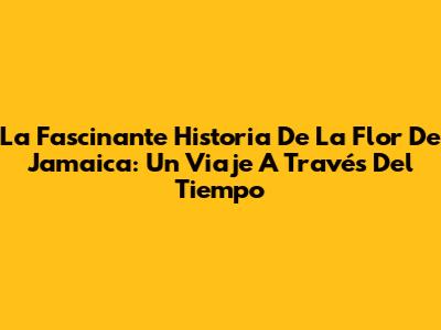 La Fascinante Historia De La Flor De Jamaica: Un Viaje A Través Del Tiempo